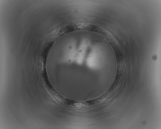 X0000095550703200712141555