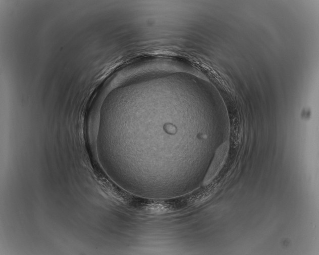 X0000095550704200712141555