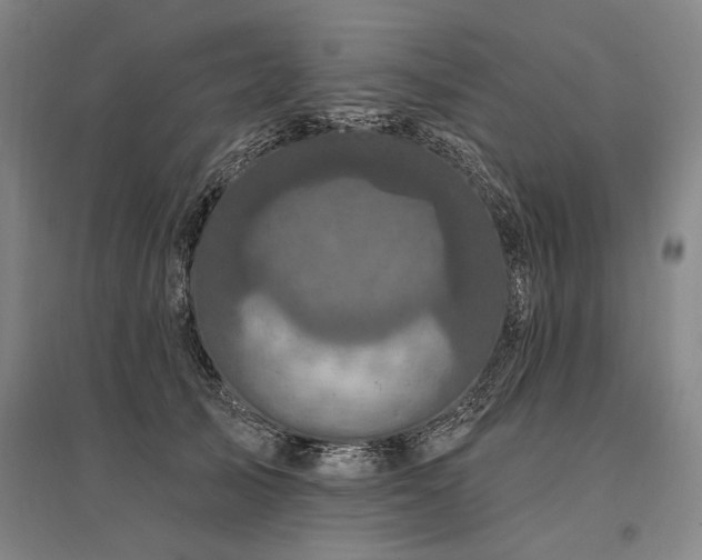 X0000095550705200712141555