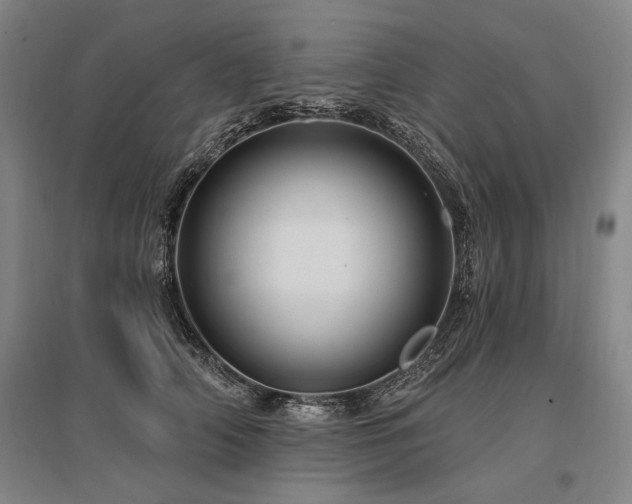 X0000095550706200712141555