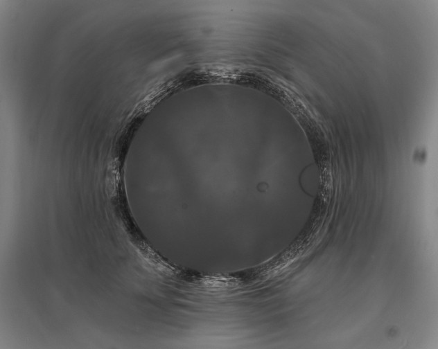 X0000095550707200712141555