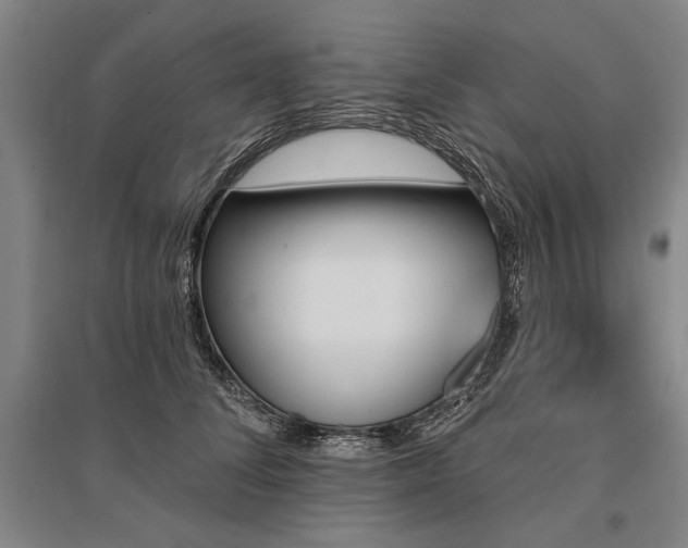 X0000095550708200712141555