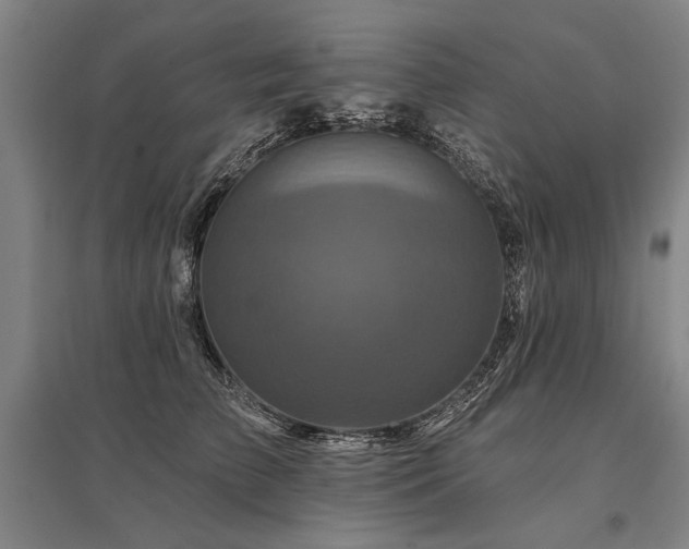 X0000095550709200712141555