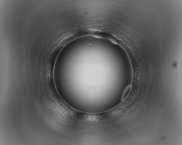 X0000095550710200712141555