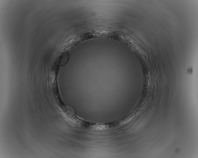 X0000095550711200712141555