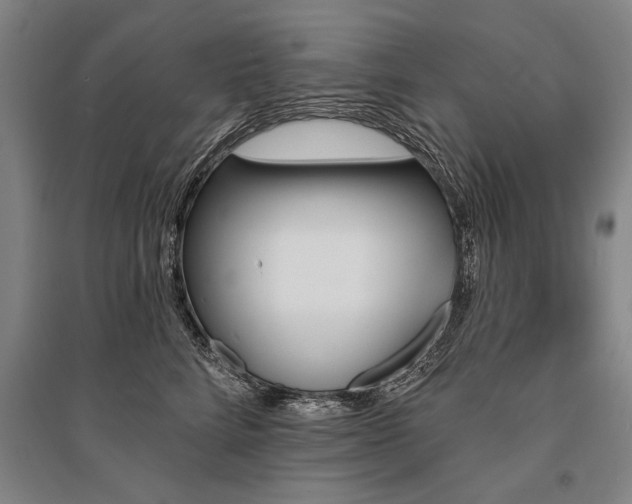 X0000095550712200712141555