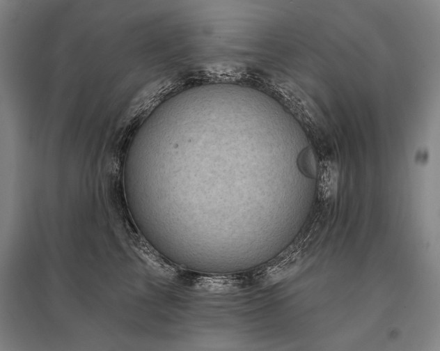 X0000095550713200712141555