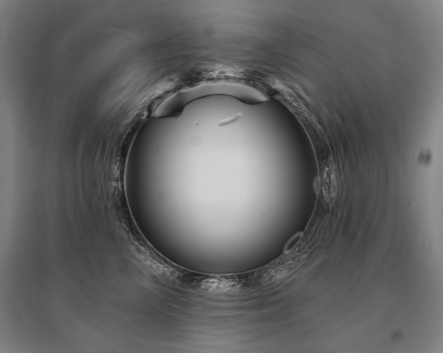 X0000095550714200712141555