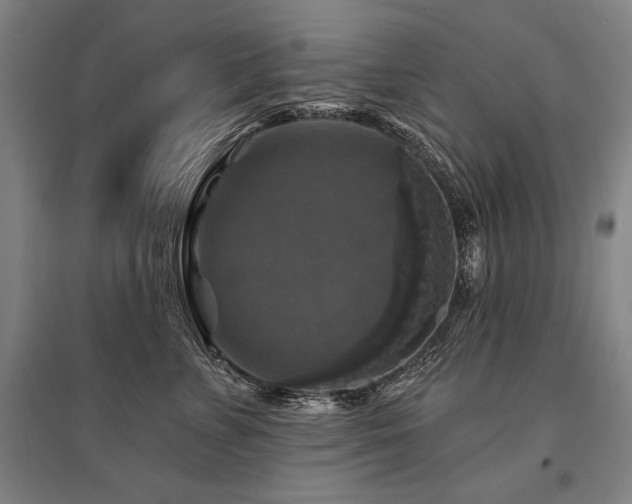 X0000095550715200712141555