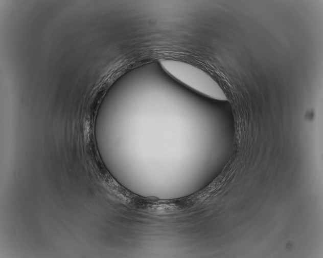 X0000095550716200712141555