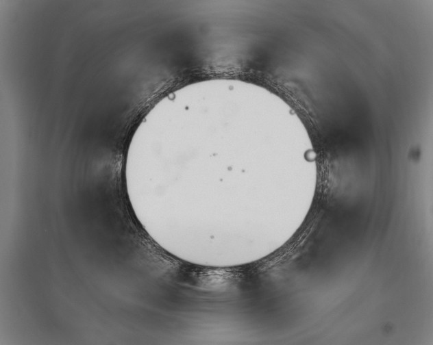 X0000095550717200712141555