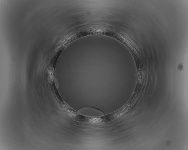 X0000095550718200712141555