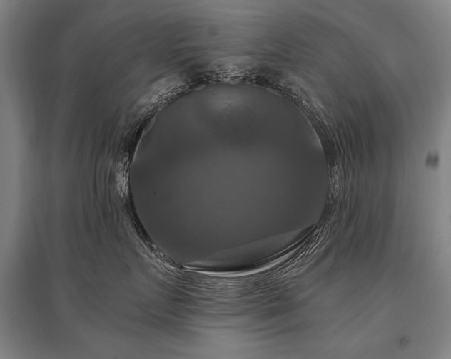 X0000095550719200712141555