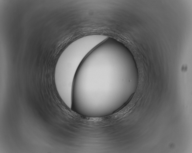 X0000095550720200712141555