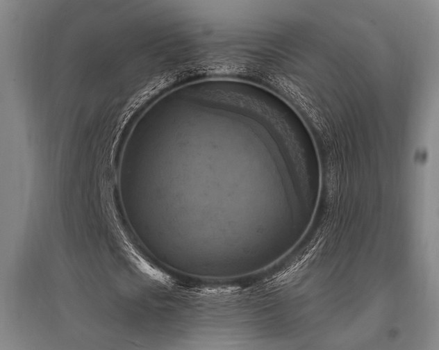 X0000095550721200712141554