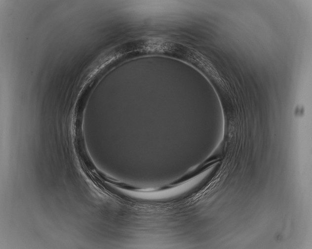 X0000095550722200712141554