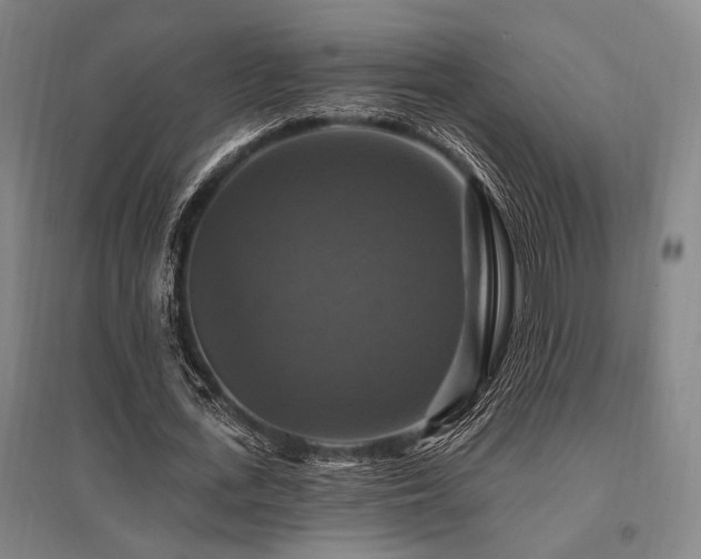 X0000095550723200712141554