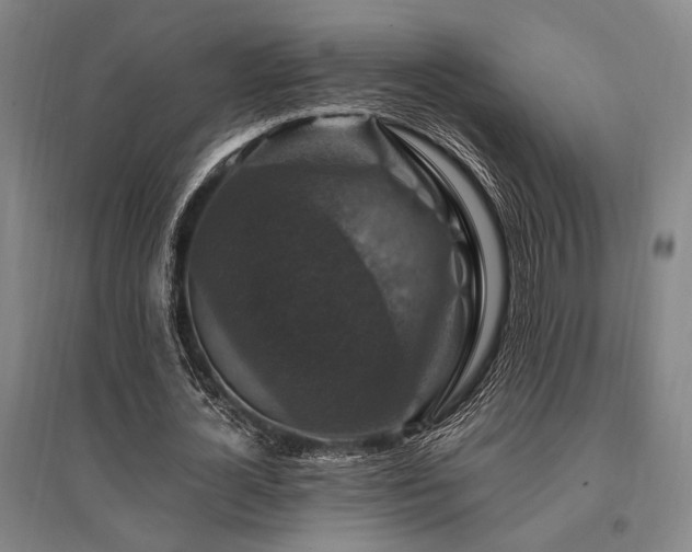 X0000095550724200712141554