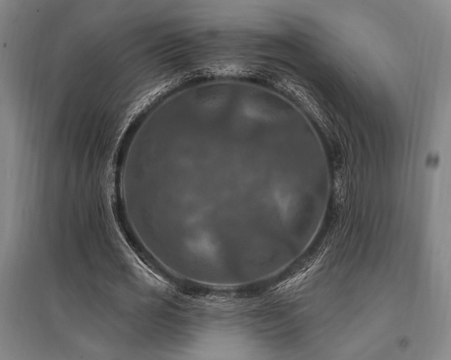 X0000095550725200712141554