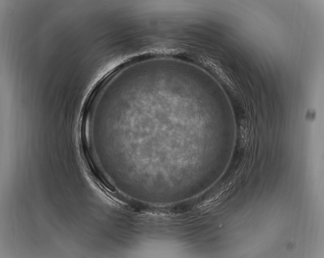 X0000095550726200712141554