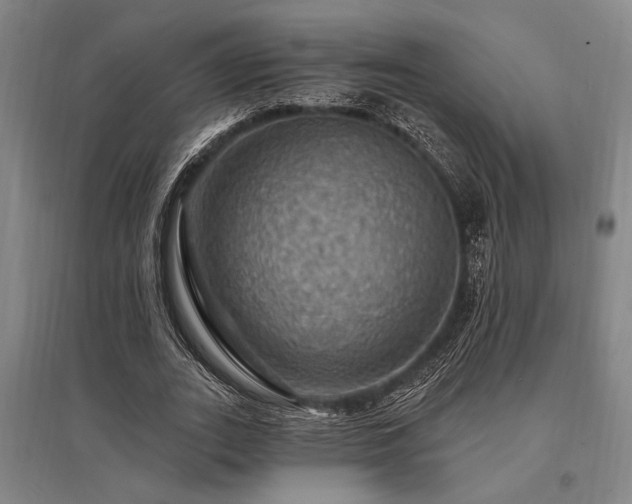 X0000095550727200712141554