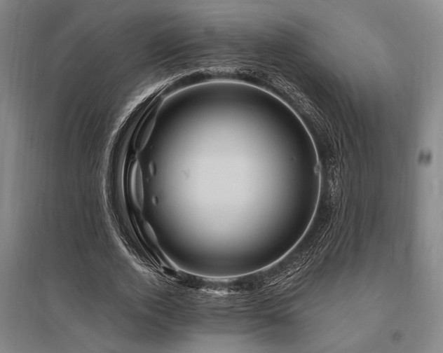 X0000095550728200712141554