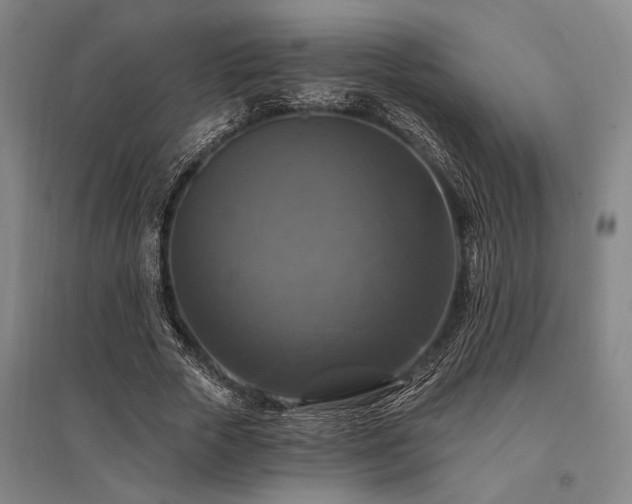 X0000095550729200712141554