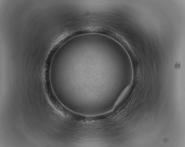 X0000095550730200712141554