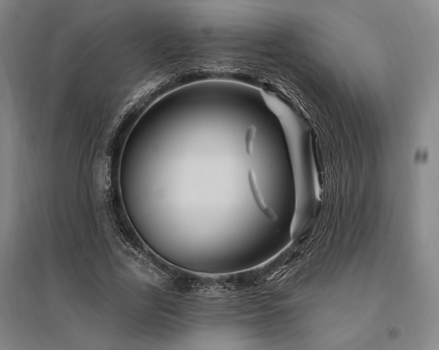 X0000095550731200712141554