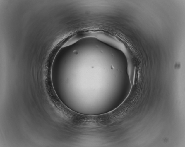 X0000095550732200712141554