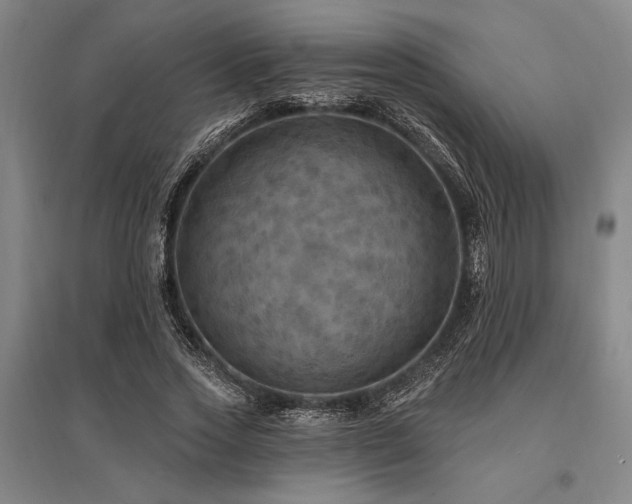 X0000095550733200712141554