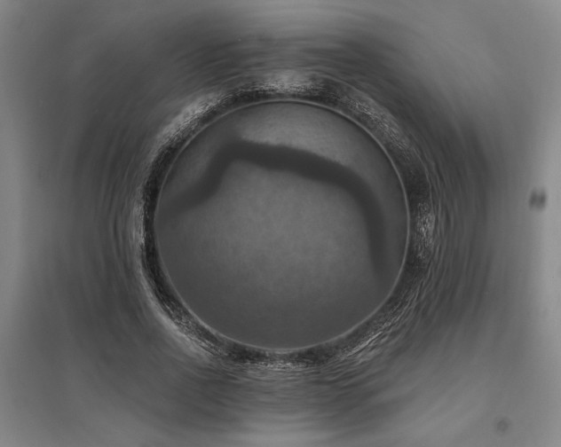 X0000095550734200712141554