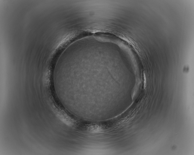 X0000095550735200712141555