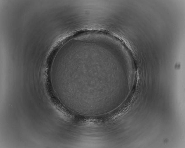 X0000095550736200712141555