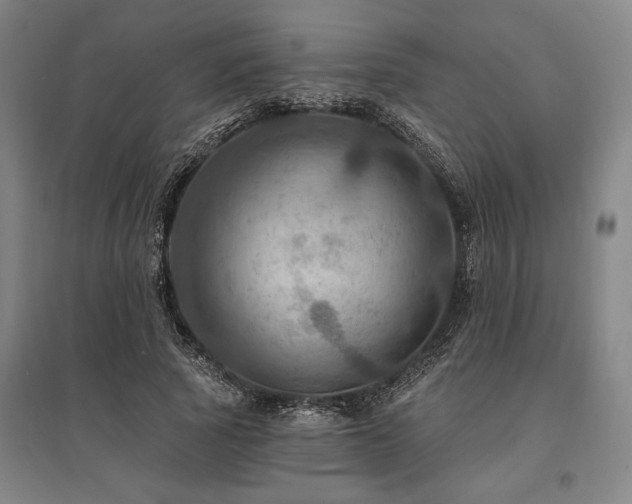 X0000095550737200712141555