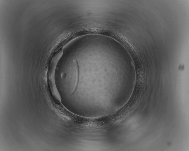 X0000095550738200712141555