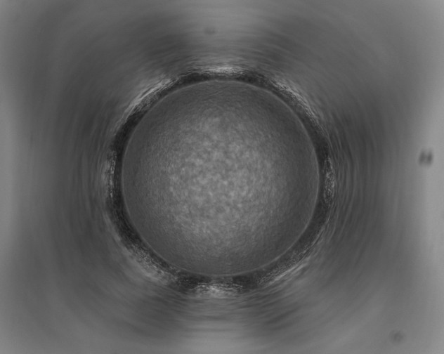 X0000095550739200712141555