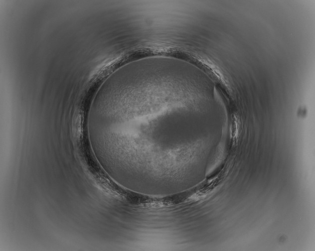 X0000095550740200712141555