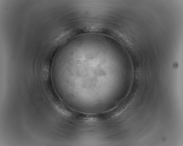 X0000095550741200712141555