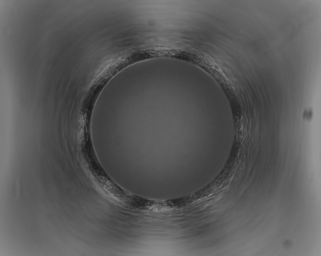 X0000095550742200712141555