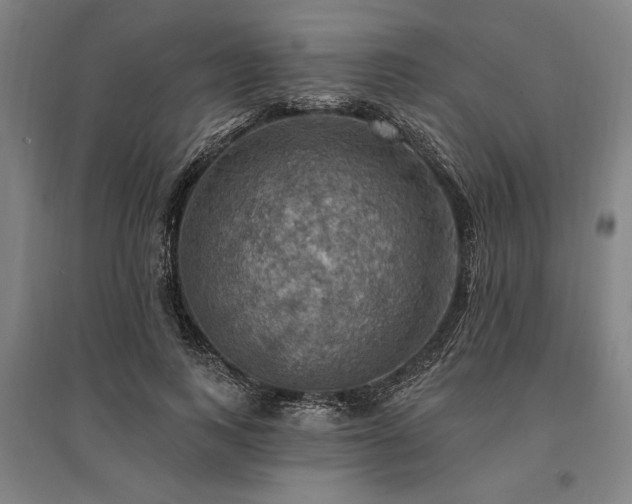 X0000095550743200712141555