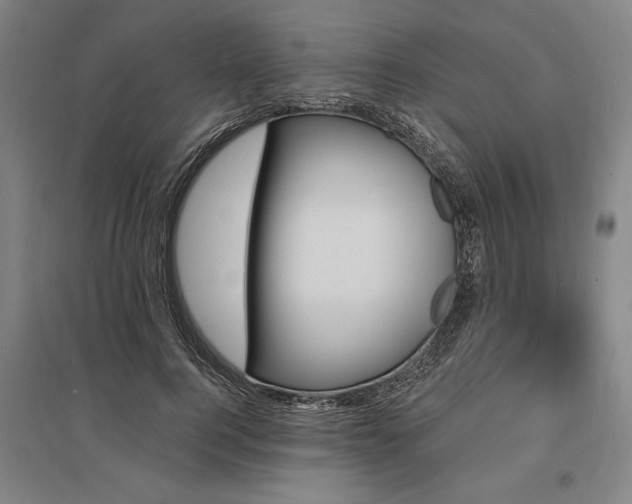 X0000095550744200712141555