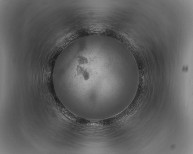 X0000095550745200712141555