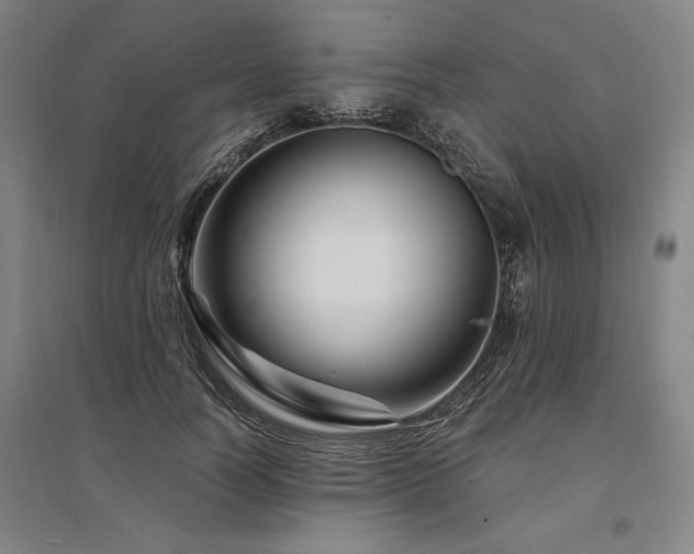 X0000095550746200712141555