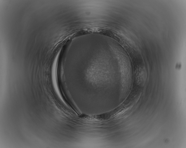 X0000095550747200712141555