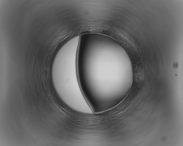 X0000095550748200712141555