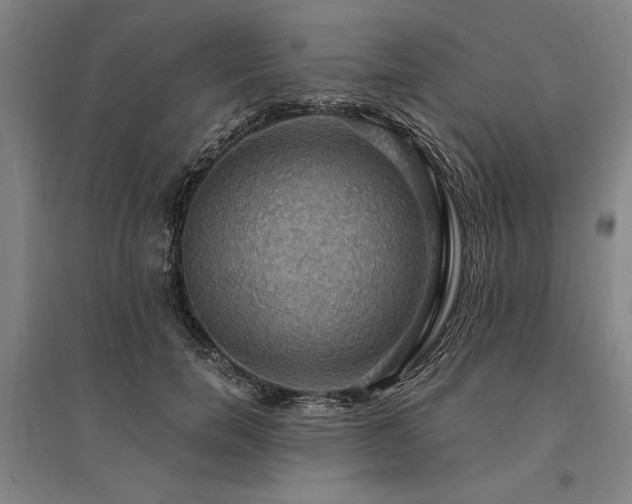 X0000095550750200712141555