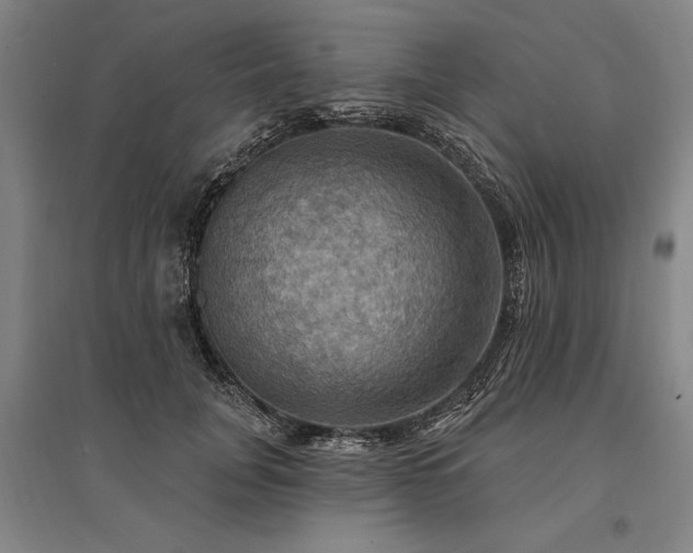 X0000095550751200712141555