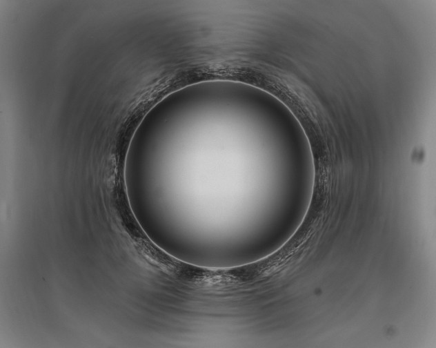 X0000095550752200712141555