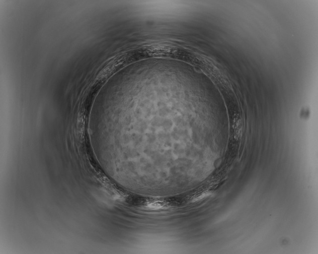 X0000095550753200712141555